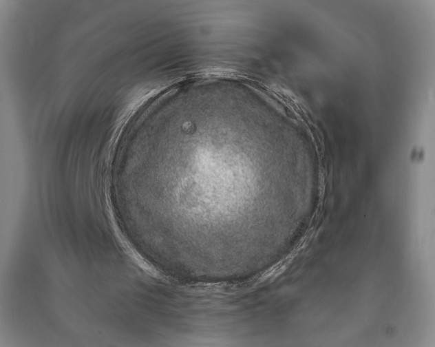 X0000090950049200708161804