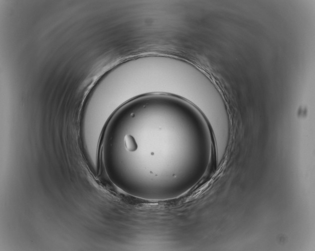 X0000090950050200708161804