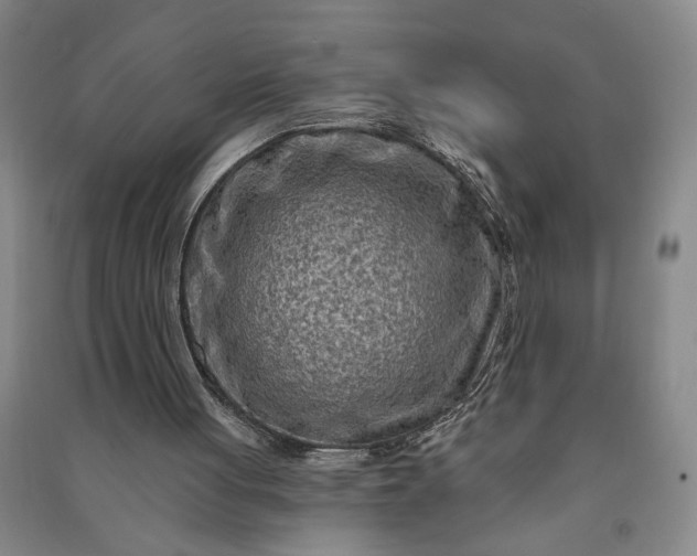 X0000090950051200708161804