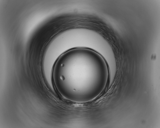 X0000090950052200708161804