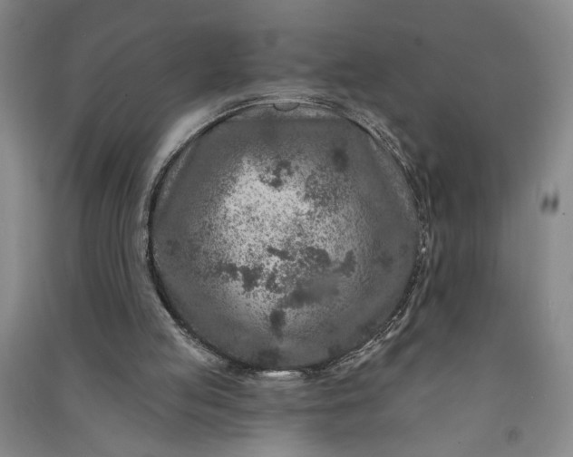 X0000090950053200708161804