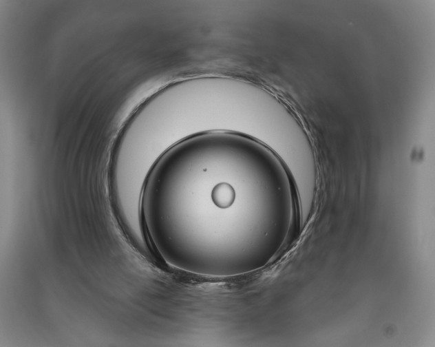 X0000090950054200708161804