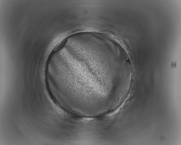 X0000090950055200708161804