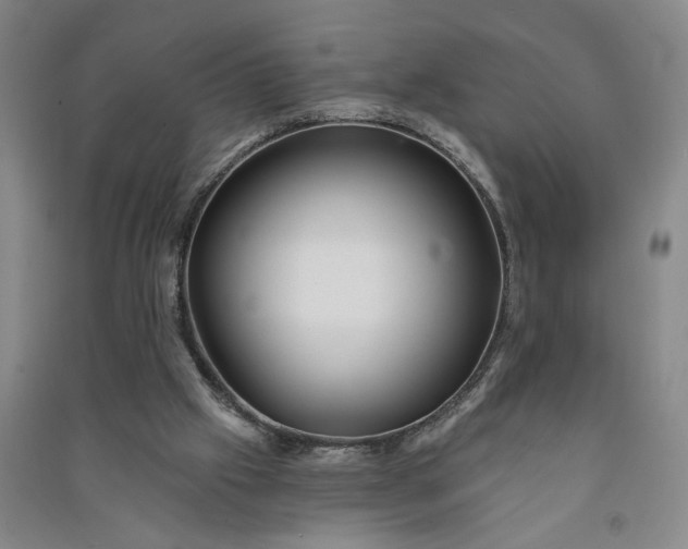 X0000090950057200708161804
