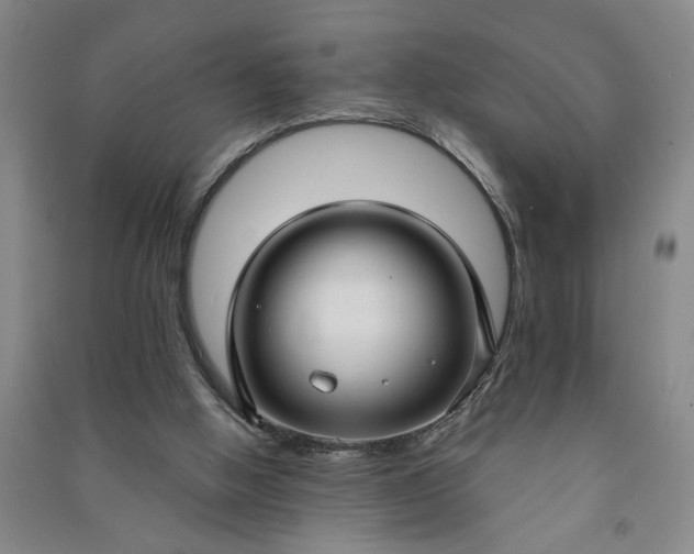 X0000090950058200708161804