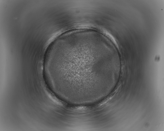 X0000090950059200708161804