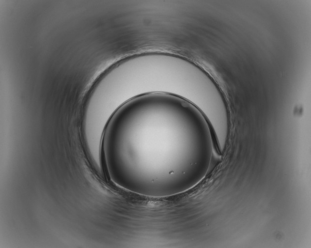 X0000090950060200708161804