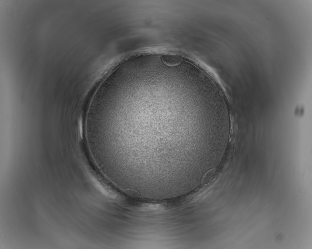 X0000090950061200708161804