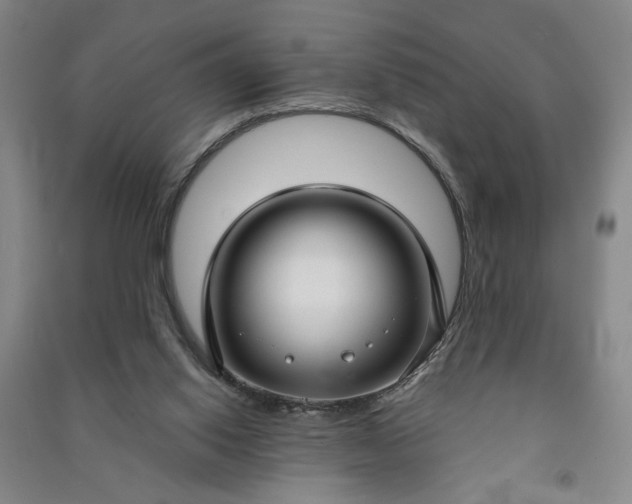 X0000090950062200708161804