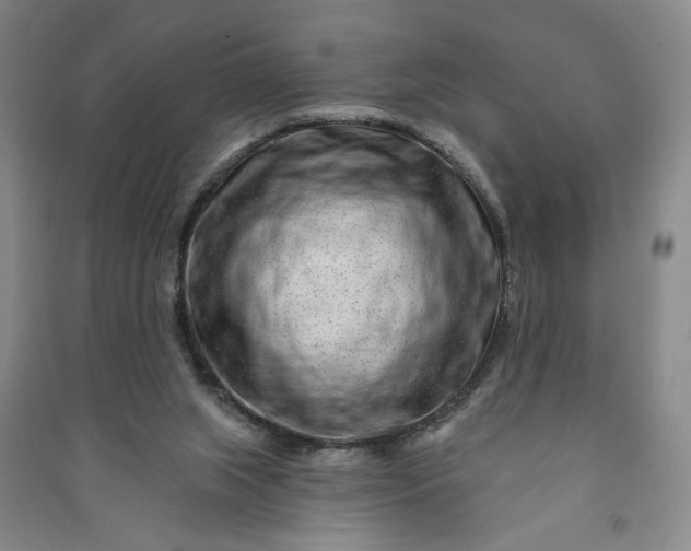 X0000090950063200708161804