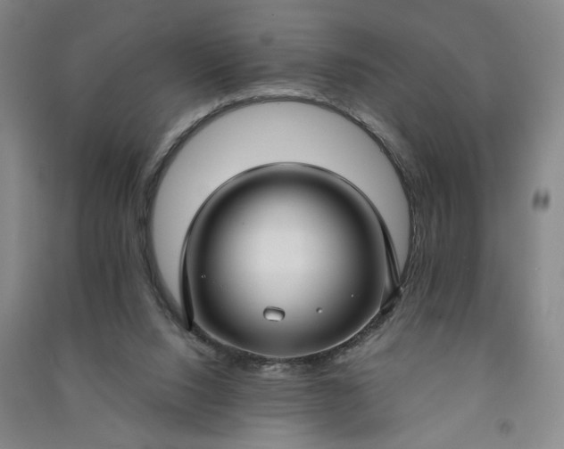 X0000090950064200708161804