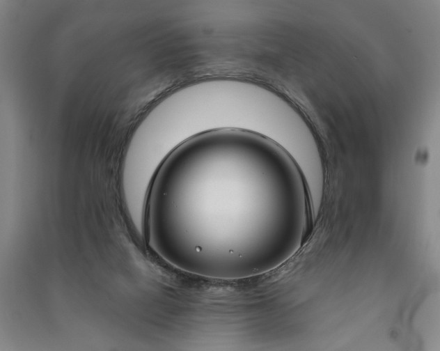 X0000090950066200708161804
