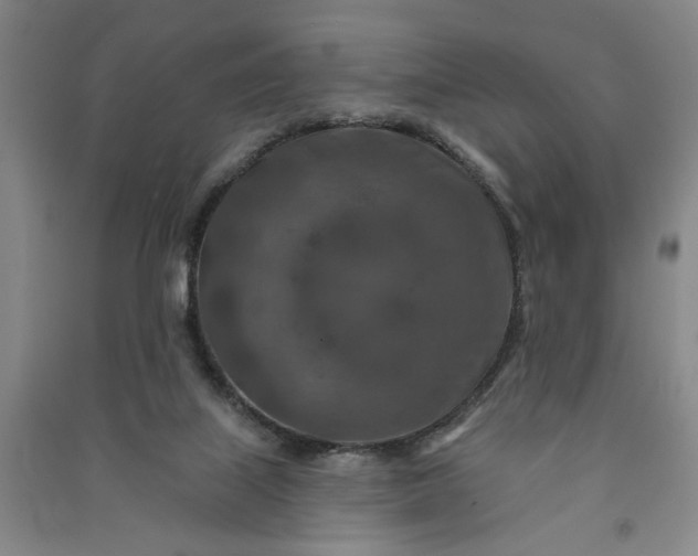 X0000090950067200708161804