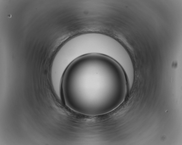 X0000090950068200708161804