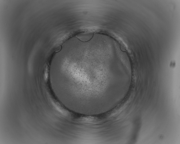 X0000090950069200708161804