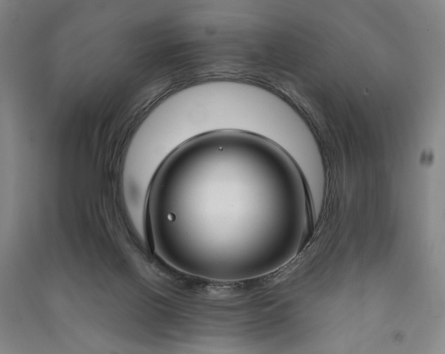 X0000090950070200708161804