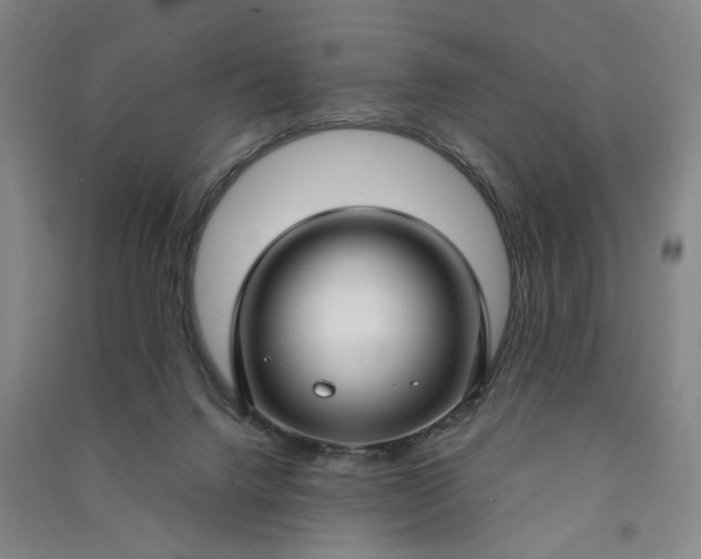 X0000090950072200708161804
