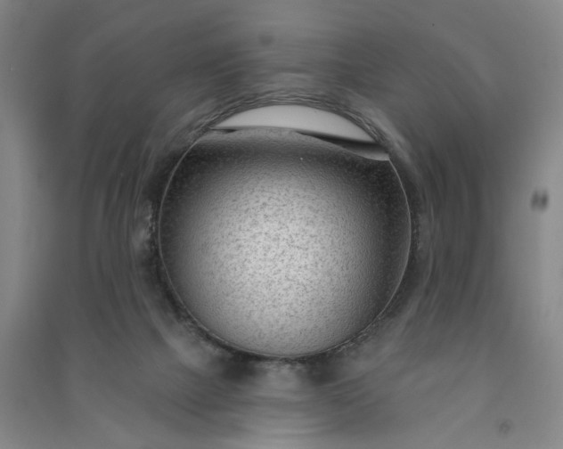 X0000090950073200708161804
