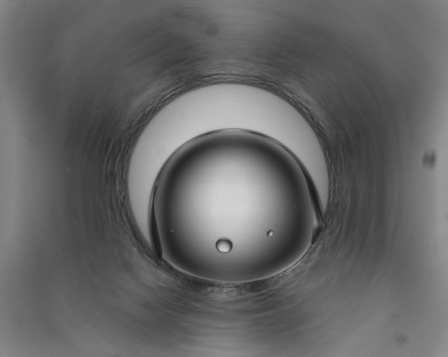 X0000090950074200708161804
