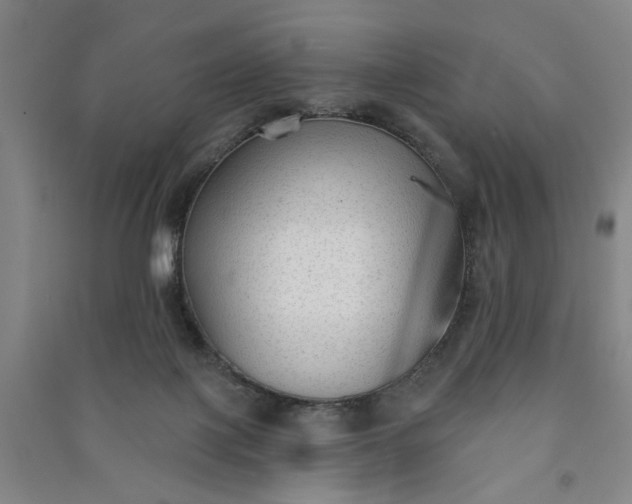 X0000090950075200708161804