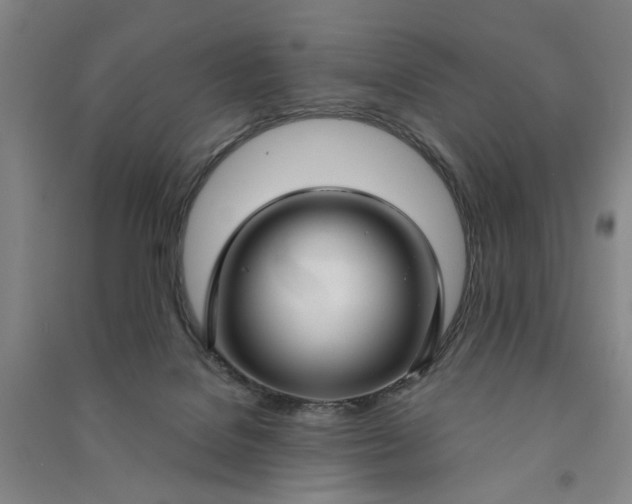 X0000090950076200708161804
