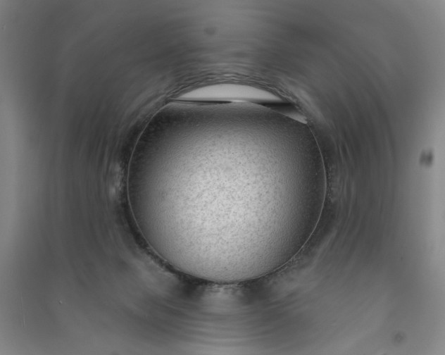 X0000090950077200708161804