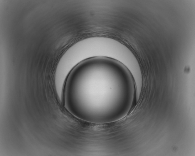 X0000090950078200708161804