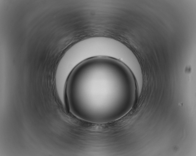 X0000090950080200708161804