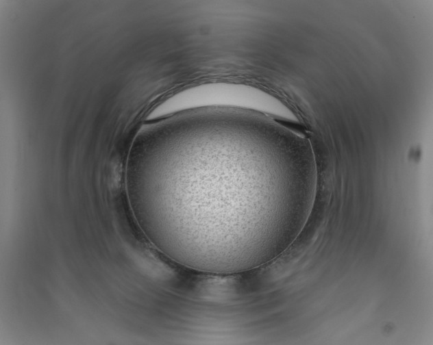 X0000090950081200708161804