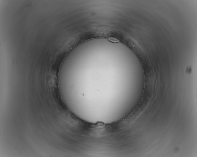 X0000090950083200708161804