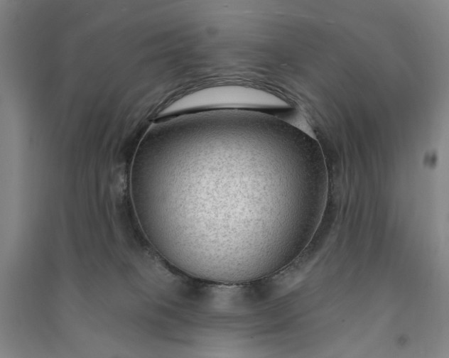 X0000090950085200708161804