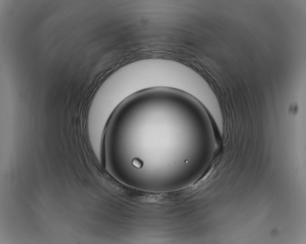X0000090950086200708161804