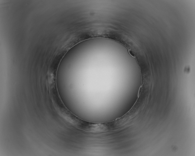 X0000090950087200708161804