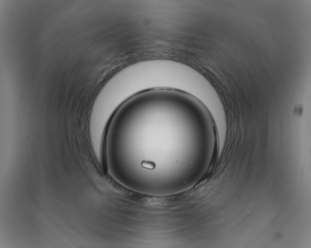X0000090950088200708161804