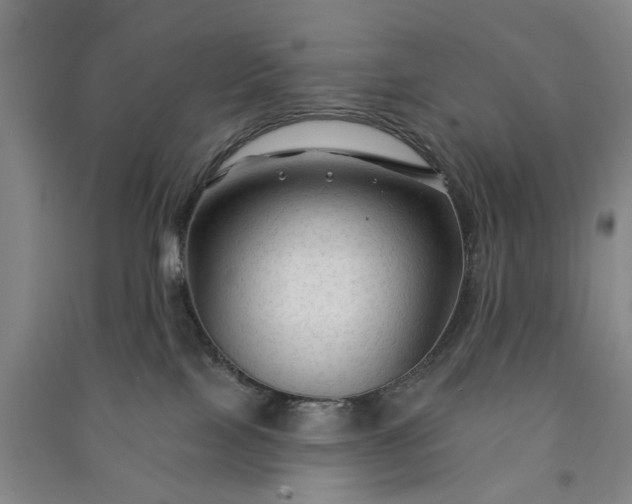X0000090950089200708161804