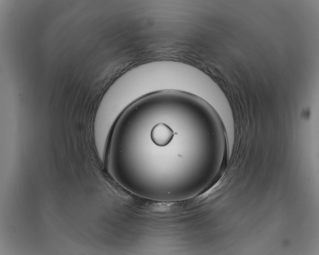 X0000090950090200708161804