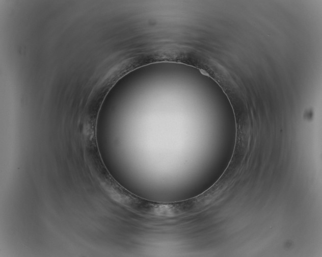 X0000090950091200708161804