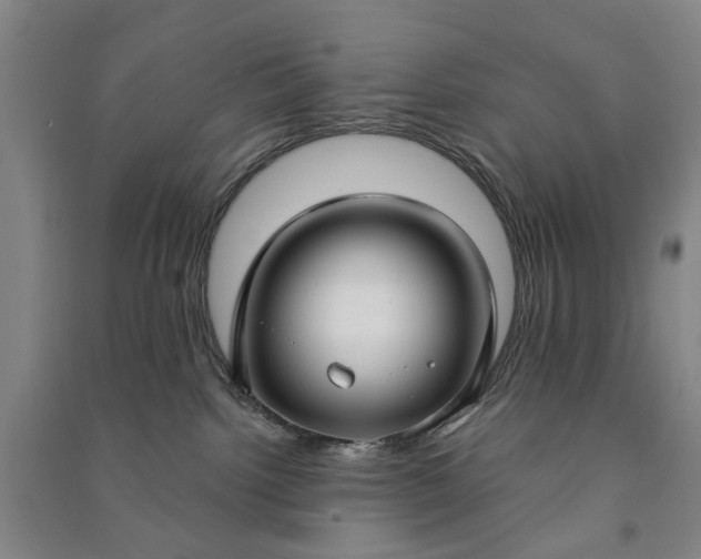 X0000090950092200708161804