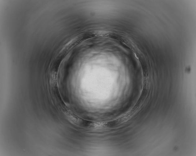 X0000090950093200708161804