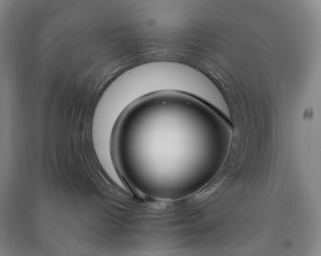 X0000090950096200708161804