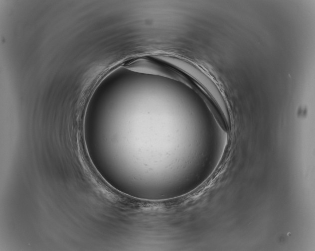 X0000090950097200708161804