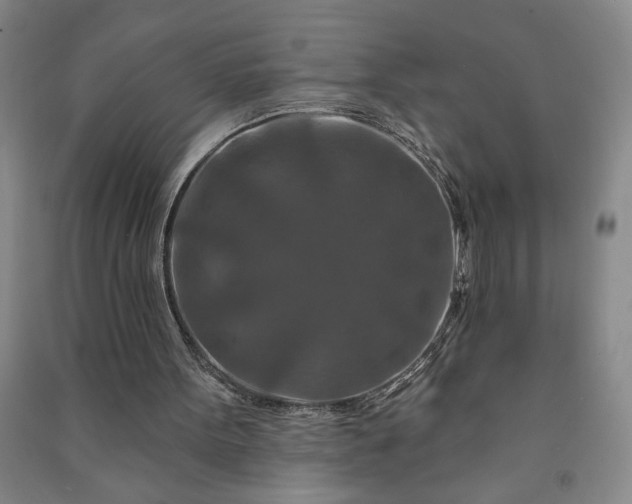 X0000090950099200708161804
