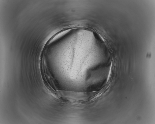 X0000090950100200708161804