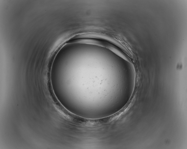 X0000090950101200708161804