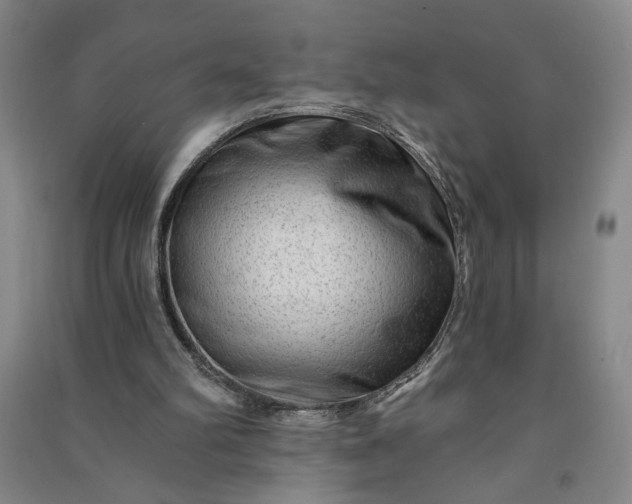 X0000090950102200708161804