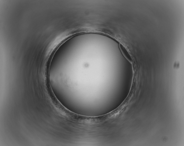 X0000090950103200708161804