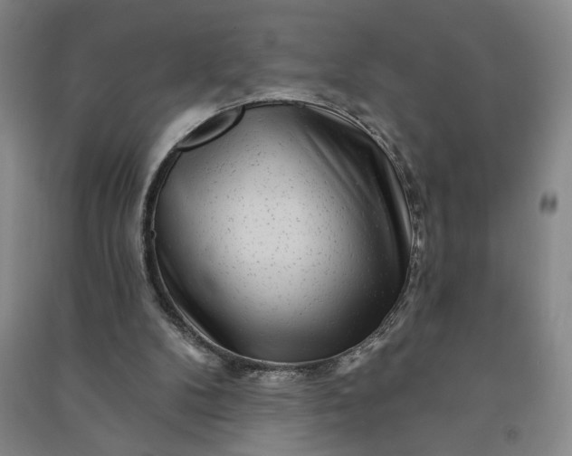 X0000090950104200708161804