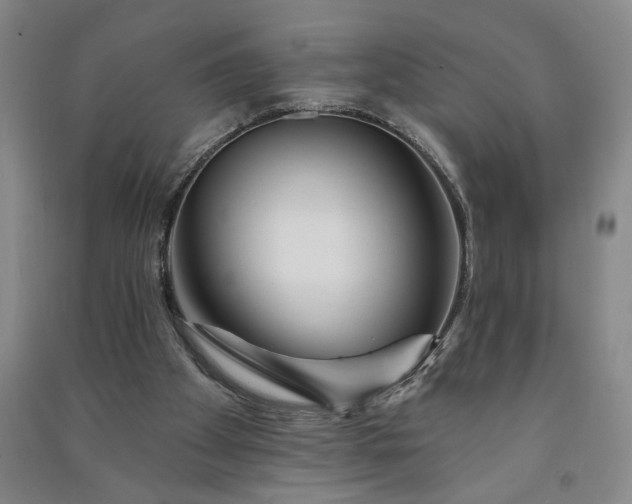 X0000090950105200708161804
