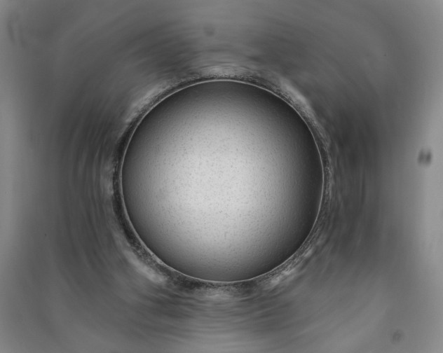 X0000090950106200708161804