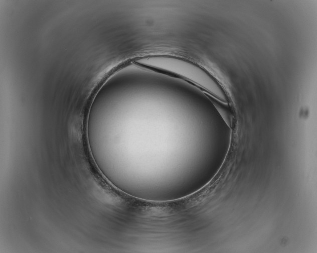 X0000090950107200708161804